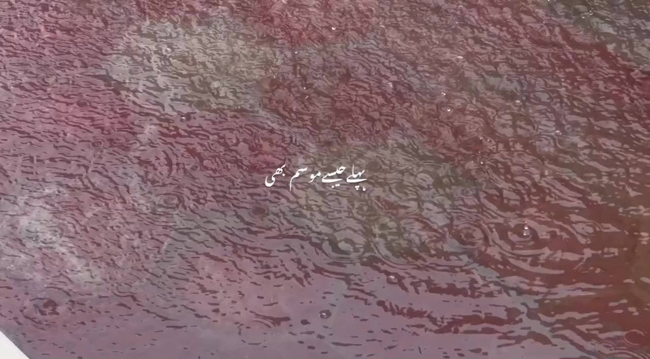 @B7F乛حسيب