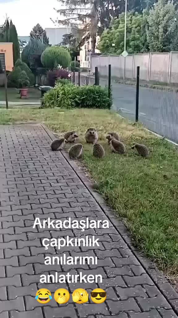 @59yalnızadam59