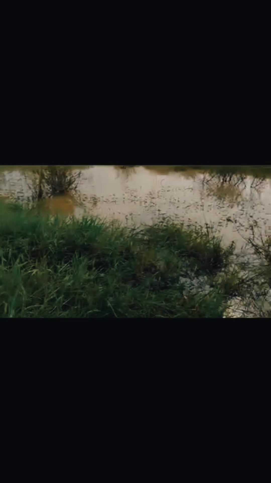 @Angler Rumab🗿