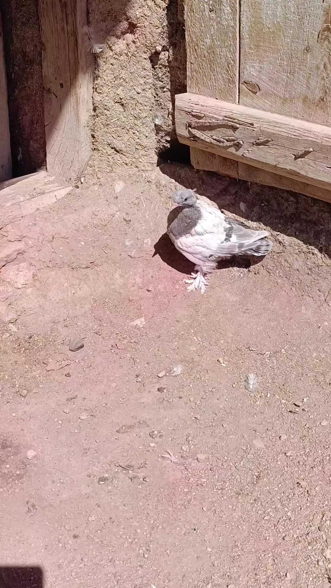 @Hasan_Hüseyin_korkmazz7171