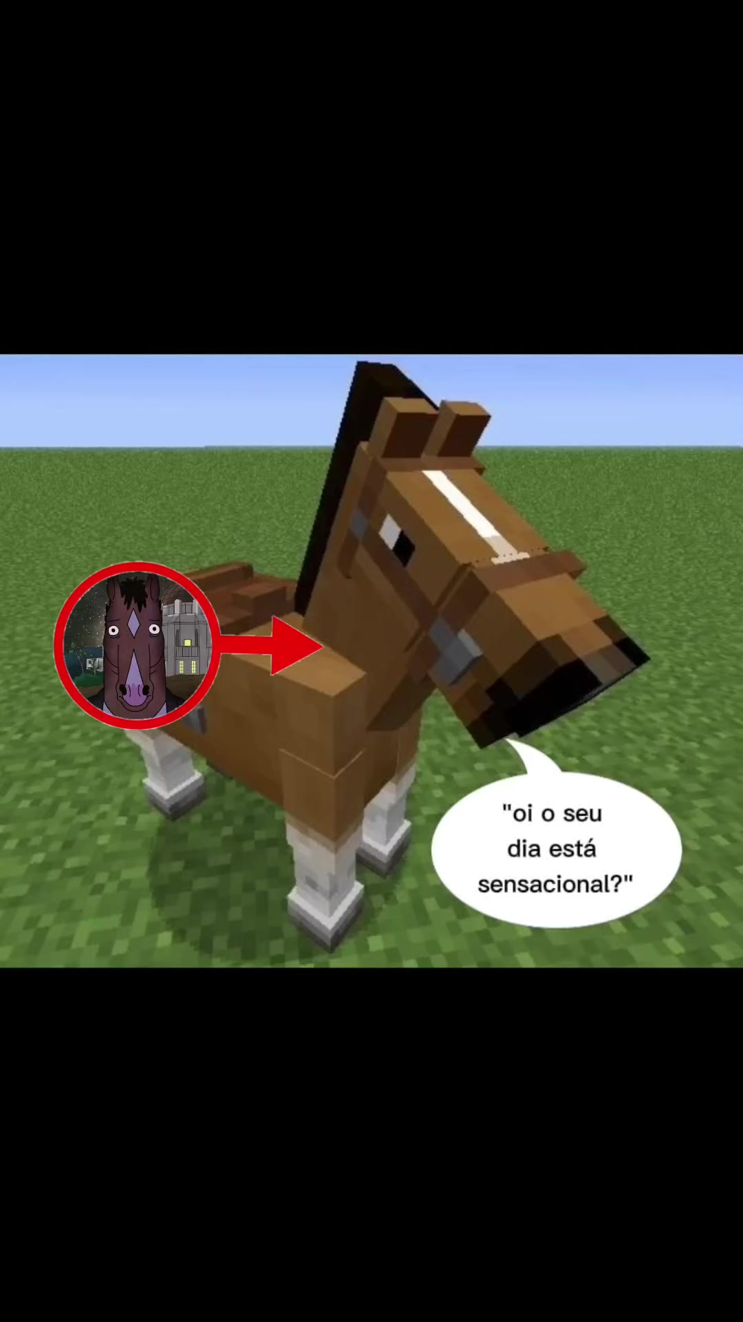 @Shigeo