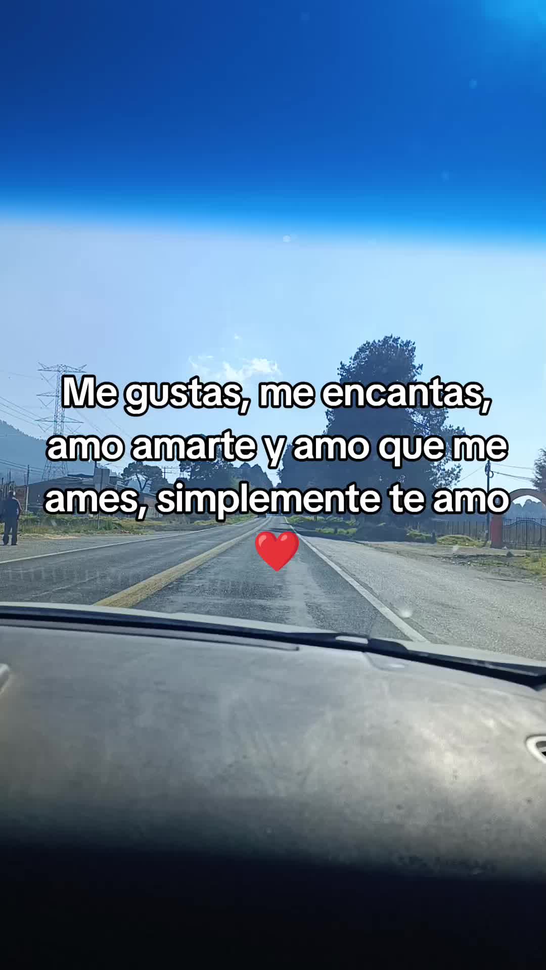 @Leslie DommWall