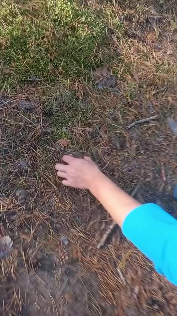 @iuliia585