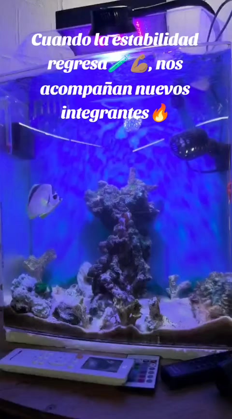 @Rodrigo EXOTIC AQUARIO