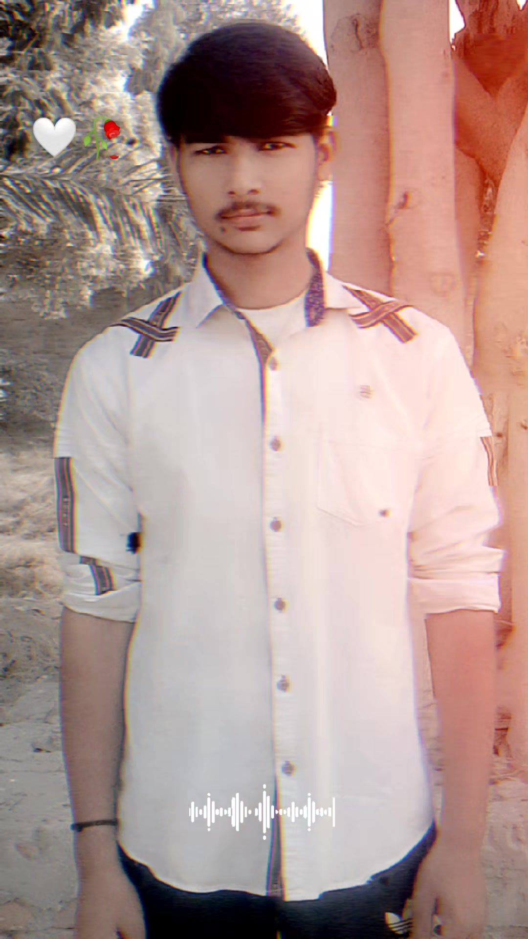 @sajidsindhujutt129
