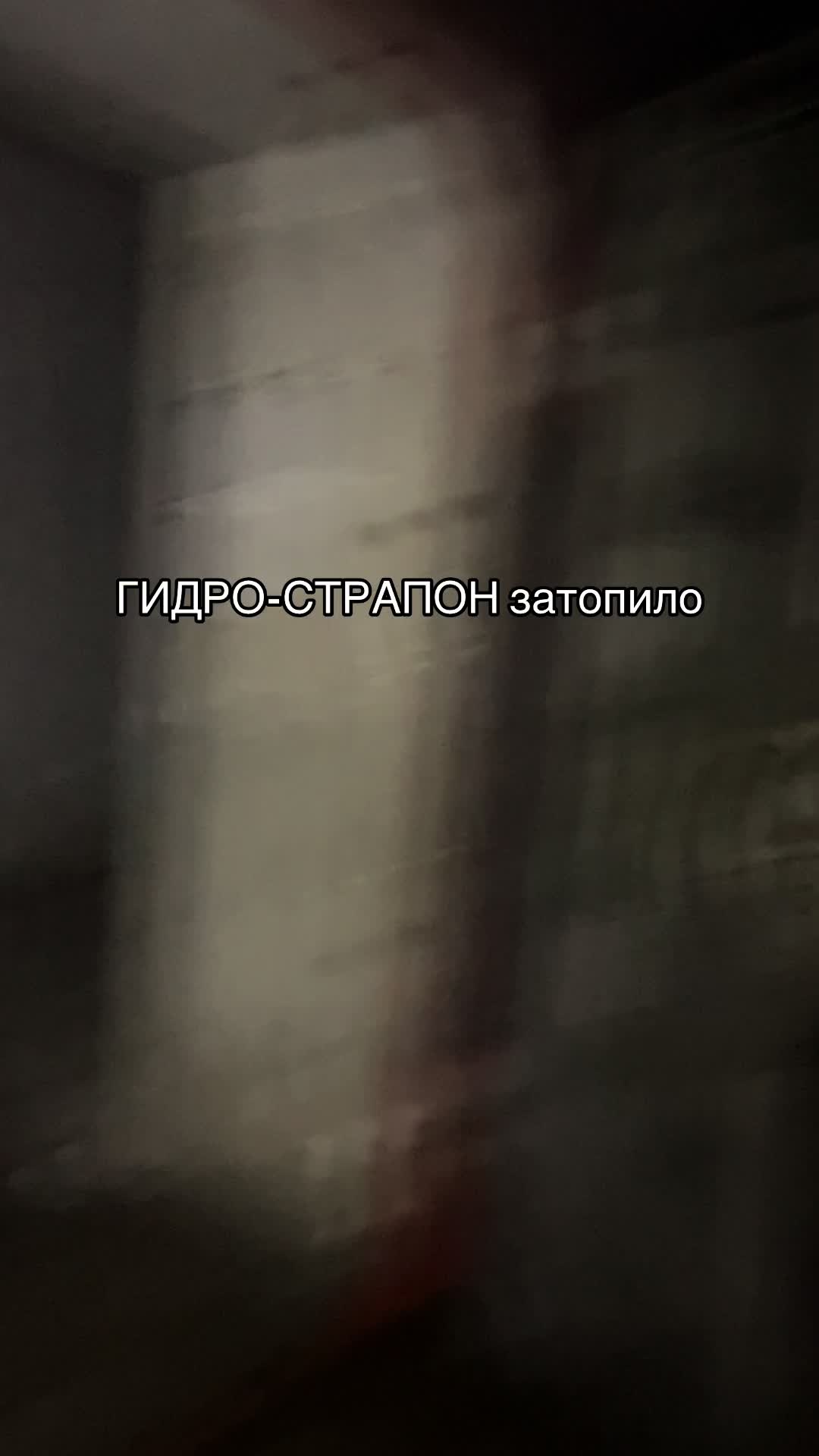 @wasm802