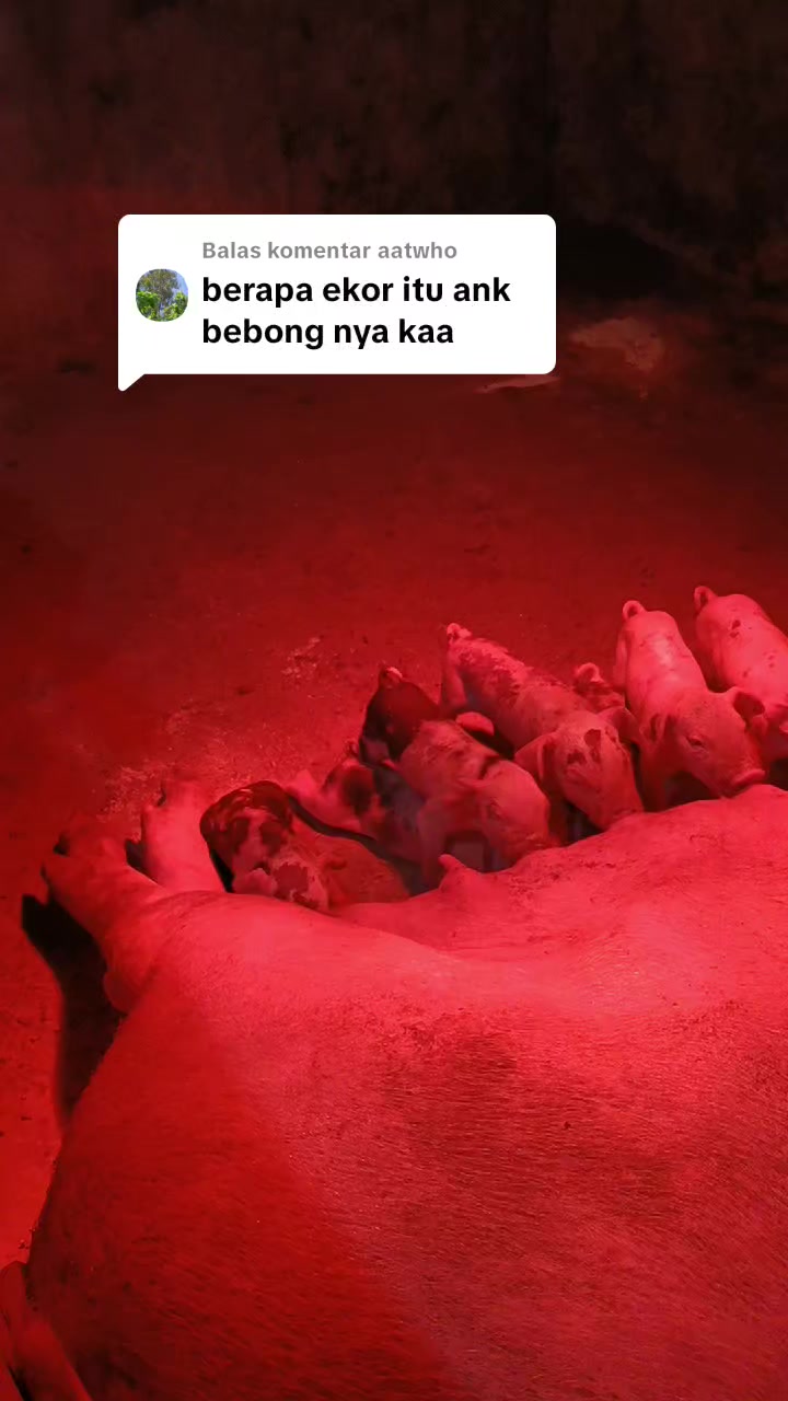 @mama Brigita