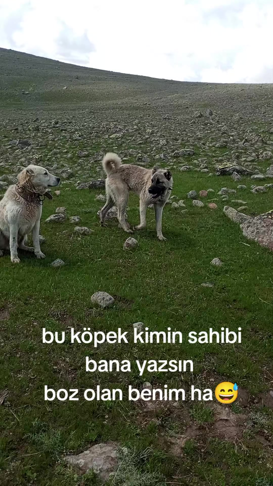 @Ali Aydemir