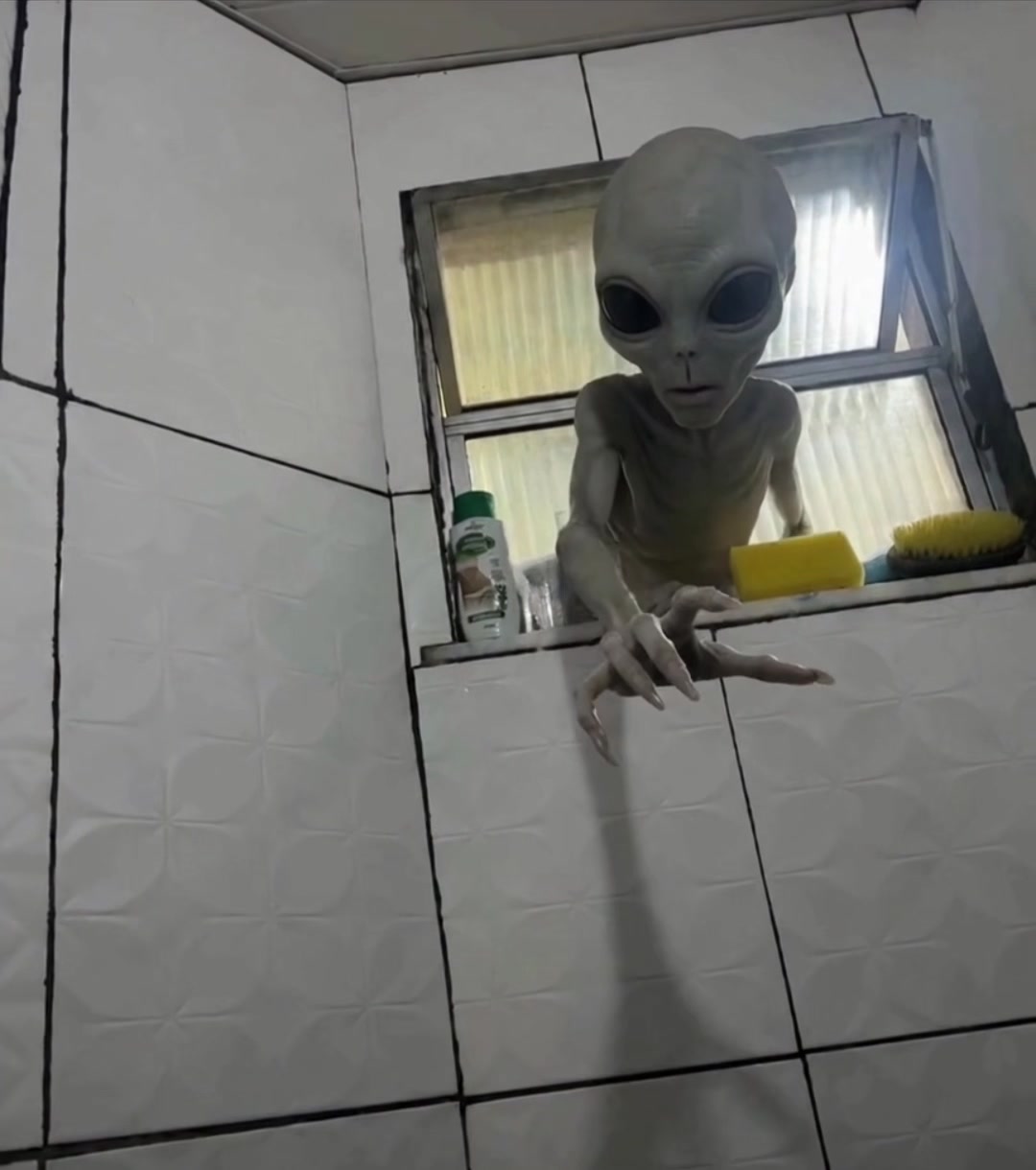 @Arquivo81
