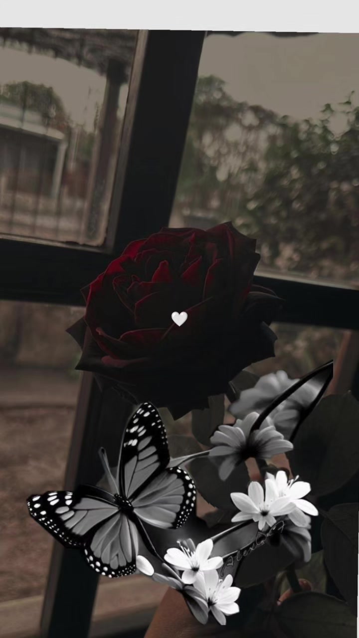 @JVCYhanee◍✧✿ ♡♡