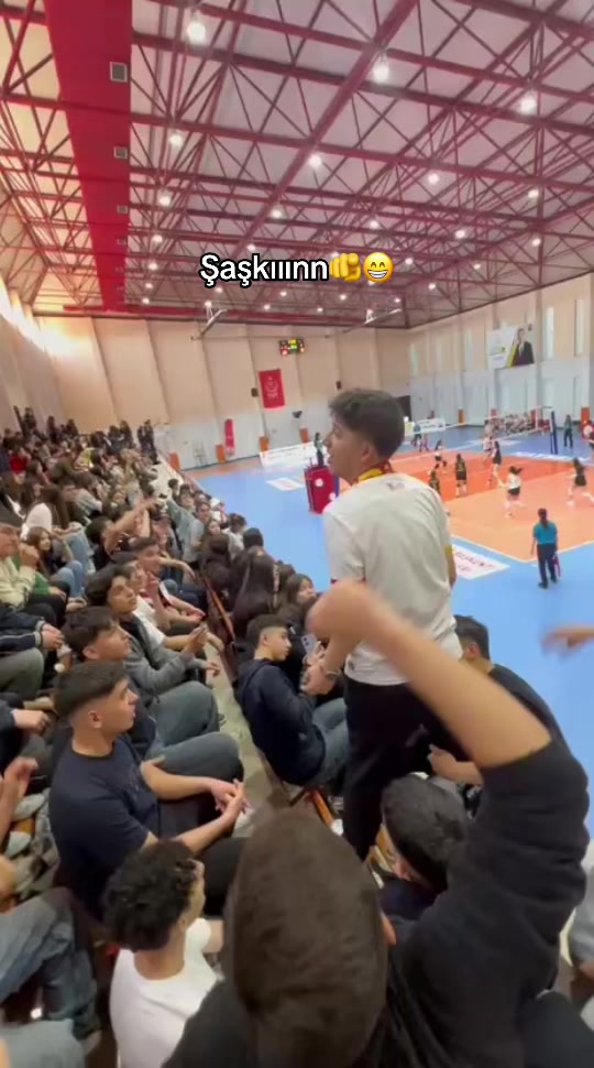 @vefaalvoleyboll