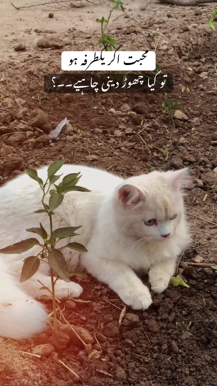 @🥂حسن جی
