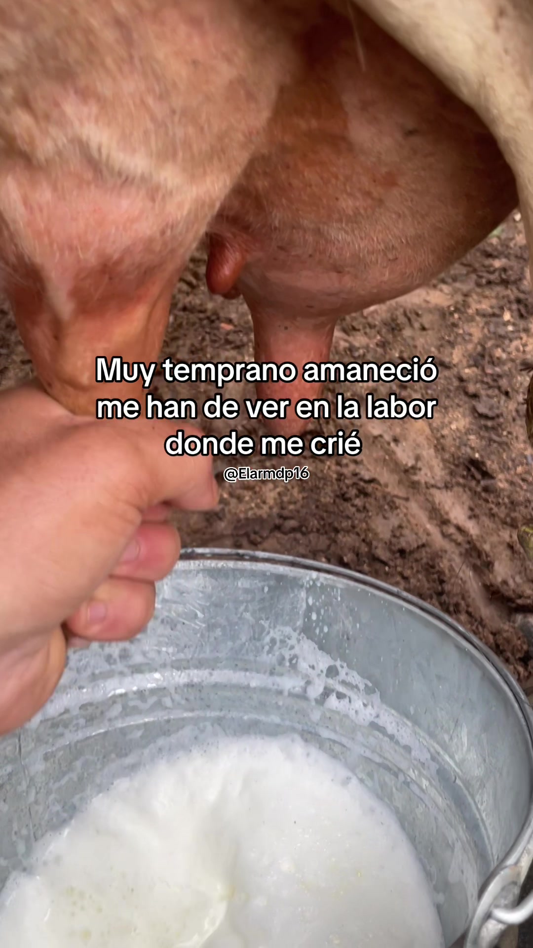 @Elarmdp16