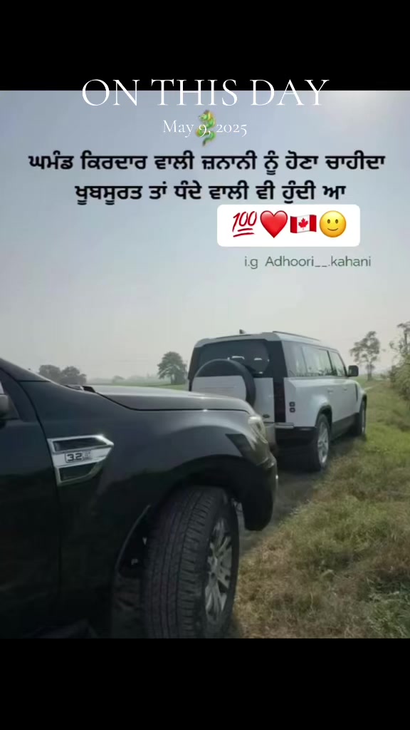 @vehlijanta761
