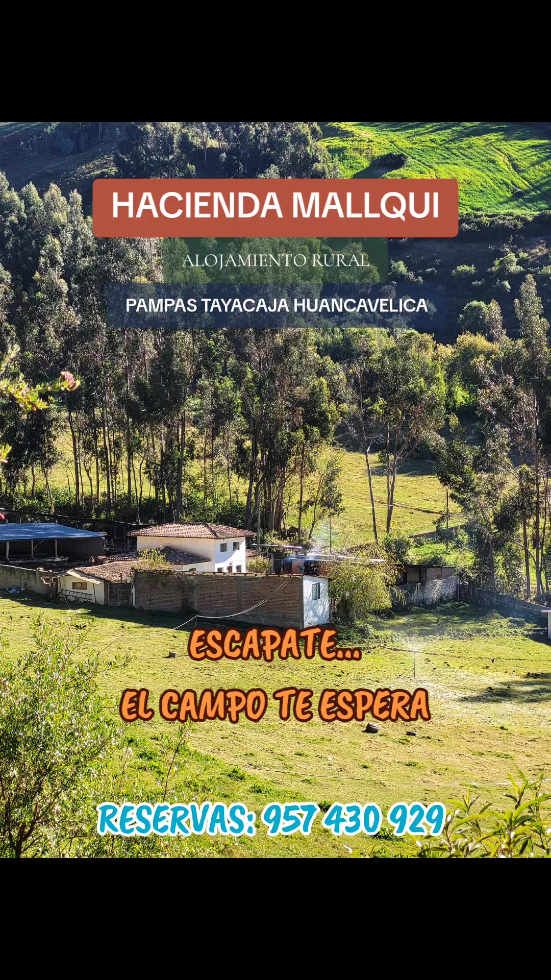 @CABA&Ntilde;AS Mallqui