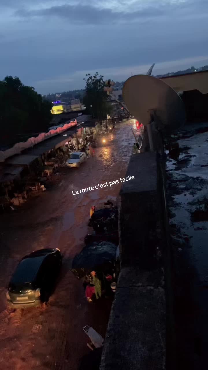 @Simka 💡🥶🐅