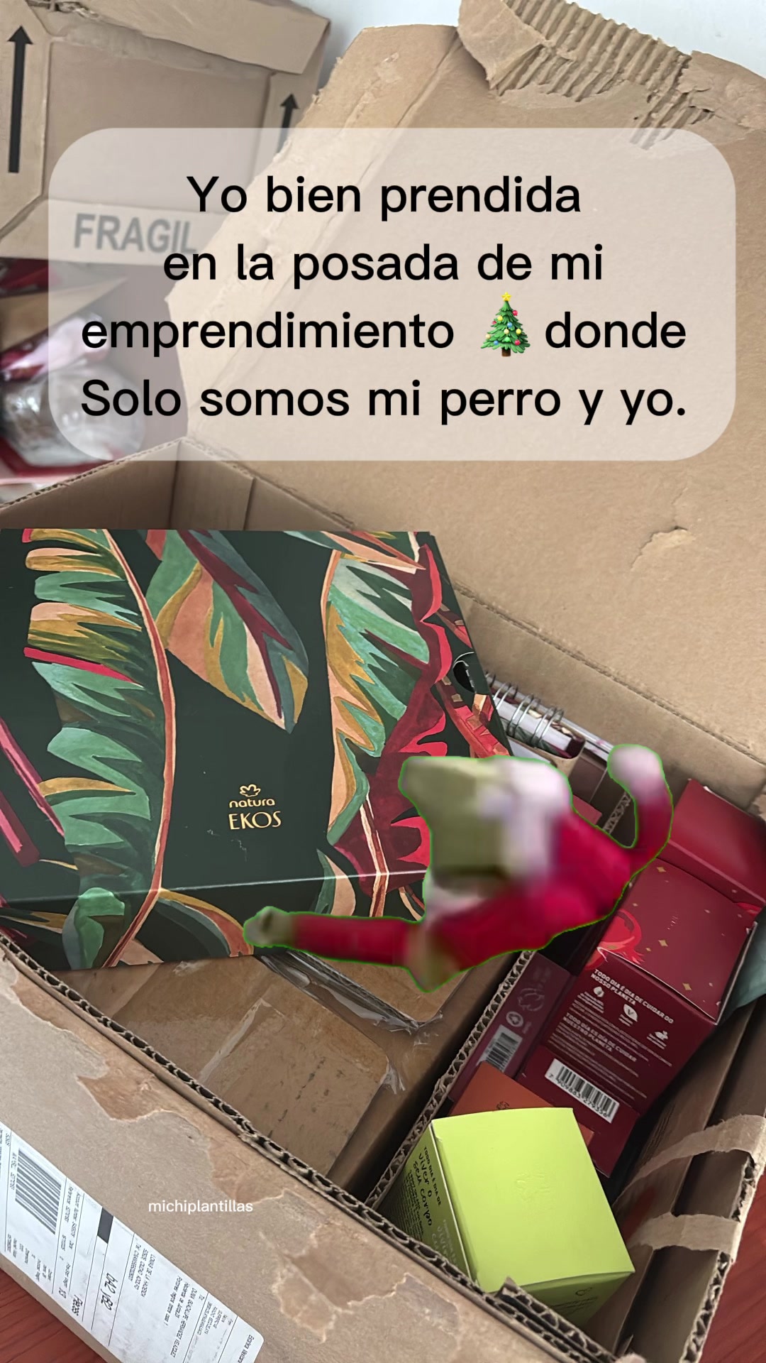 @Dumiax 🧿✨