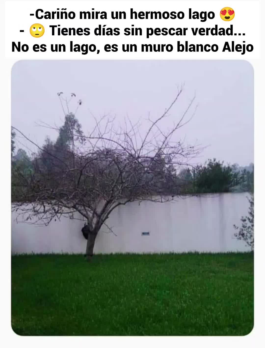 @Alejandro Silva
