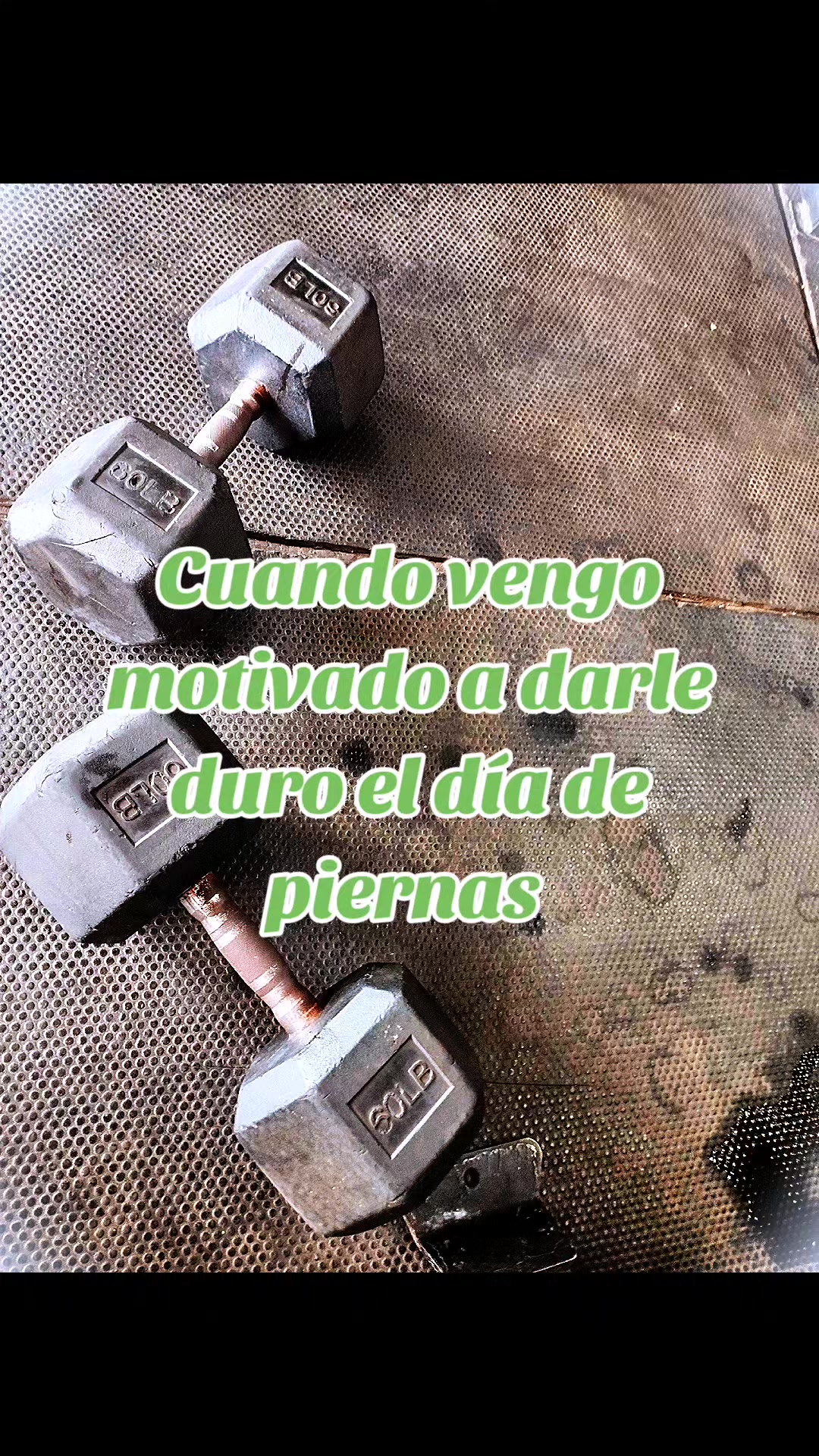 @miguelache@766