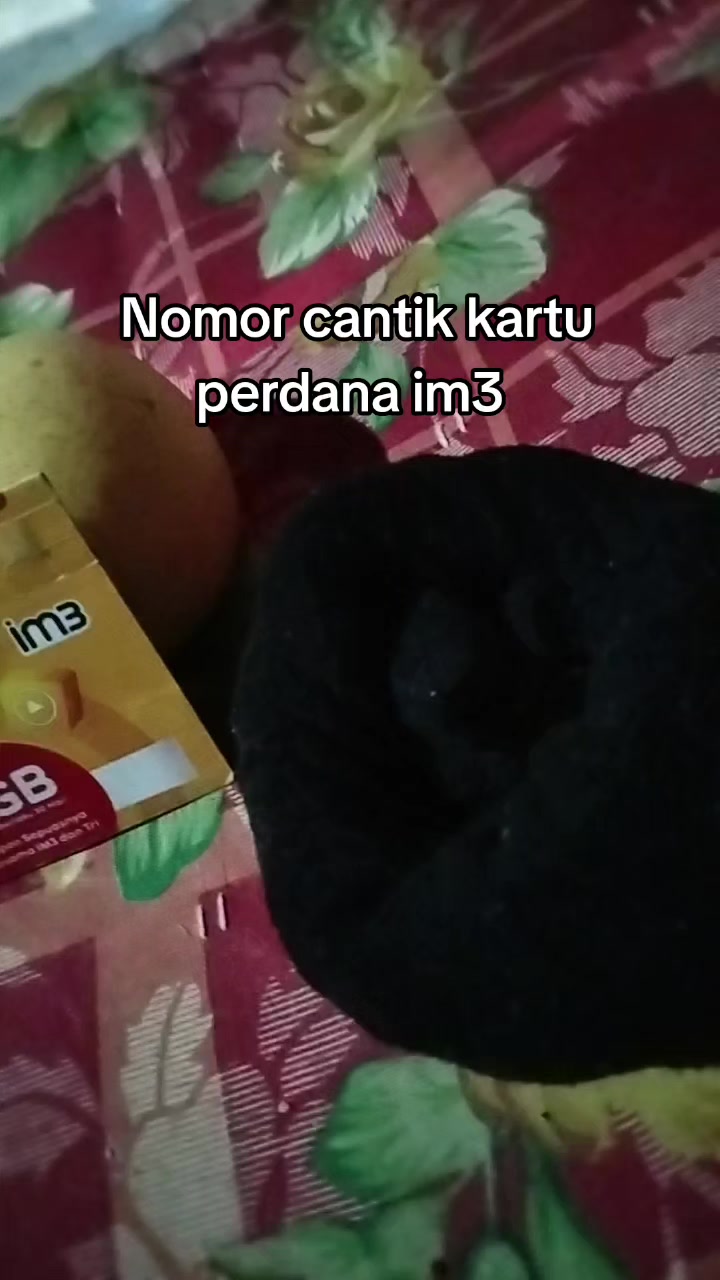 @Raja Tiktok