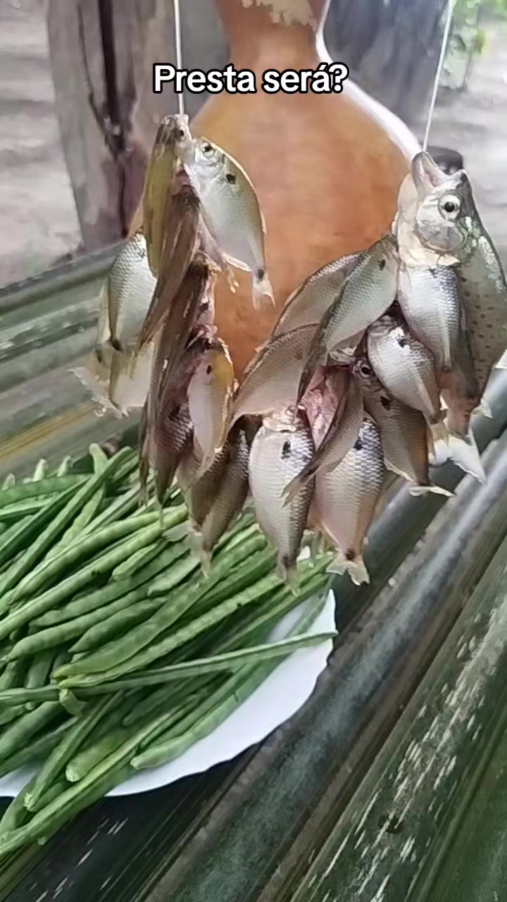 @Jailson do Refúgio🌳🐟