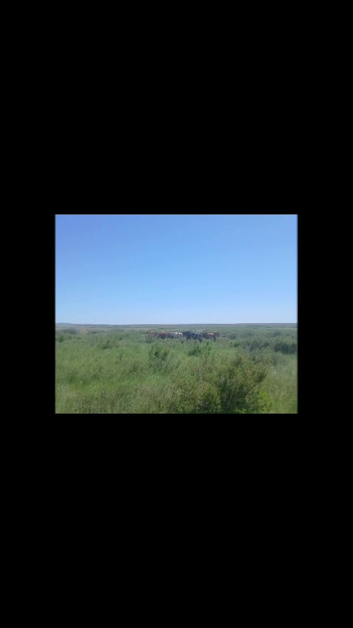 @ҒАЛЫМ ҚАЛАБАЕВ
