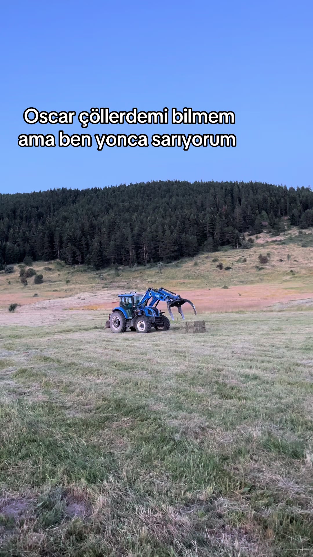 @Eren Abak