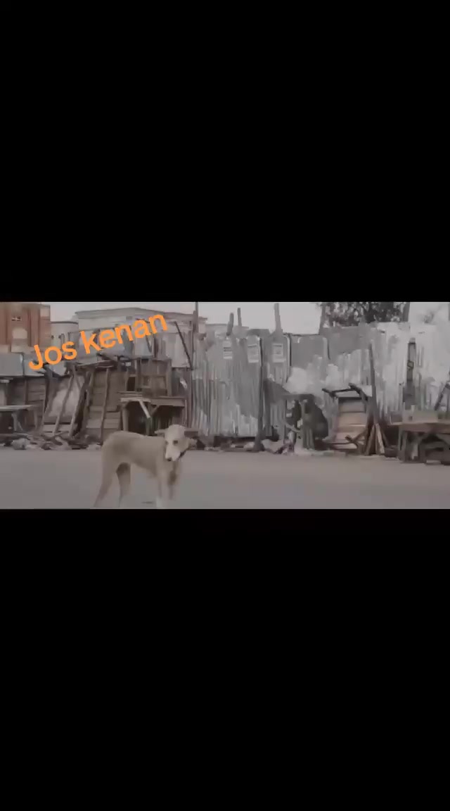 @alamin.ak05