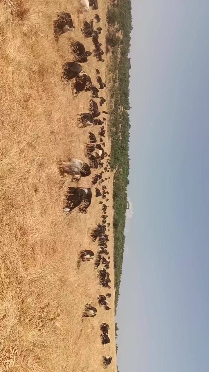 @koçer.12