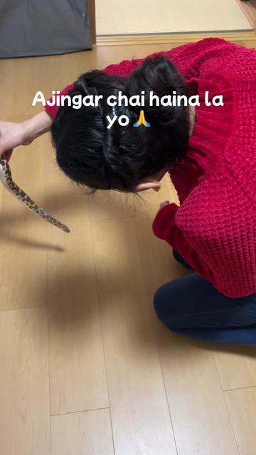 @sumitrabudhathoki/sarpawali