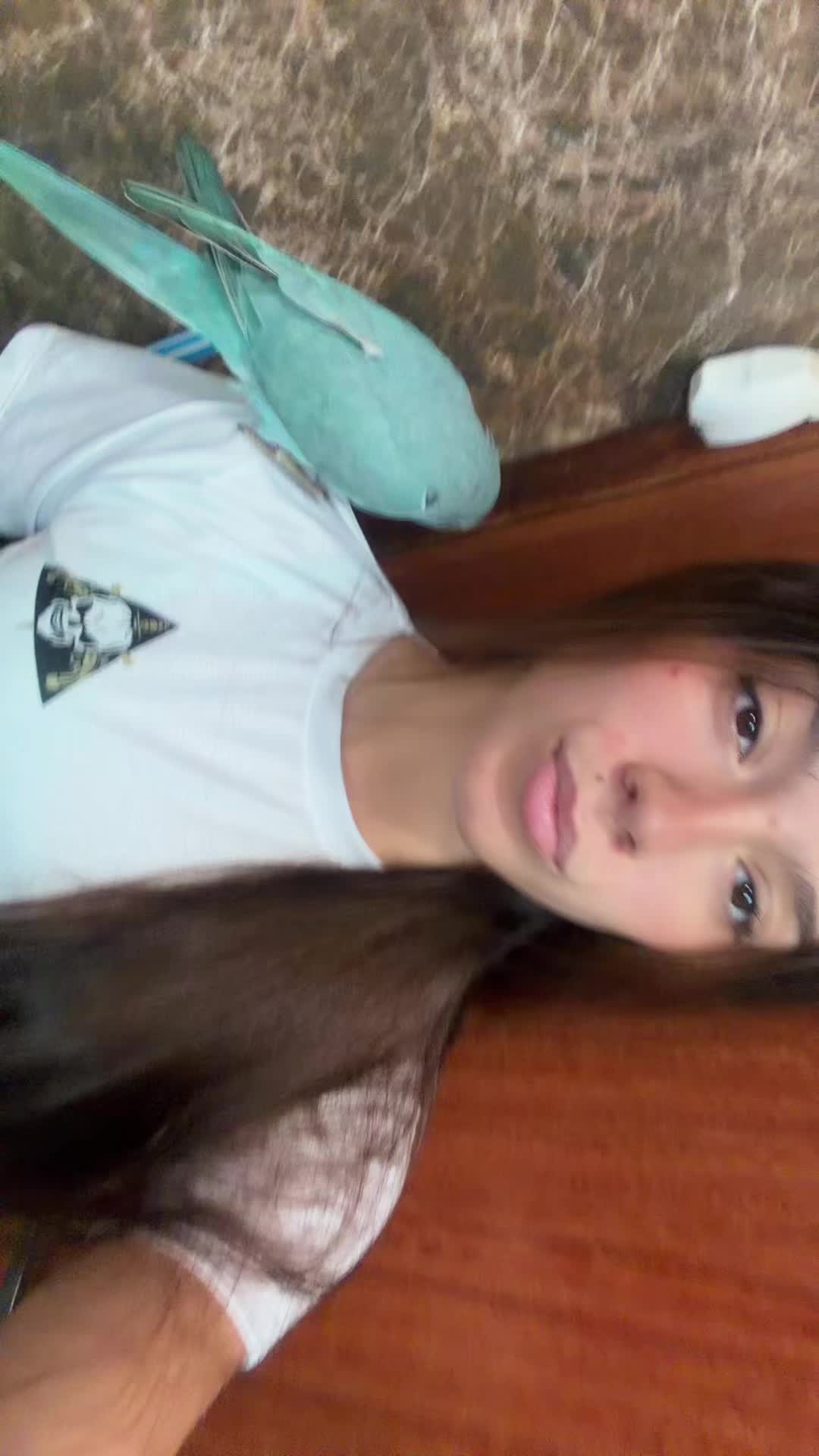 @wtf.julinha