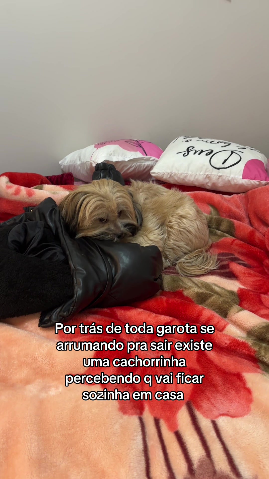 @Daiane girelli