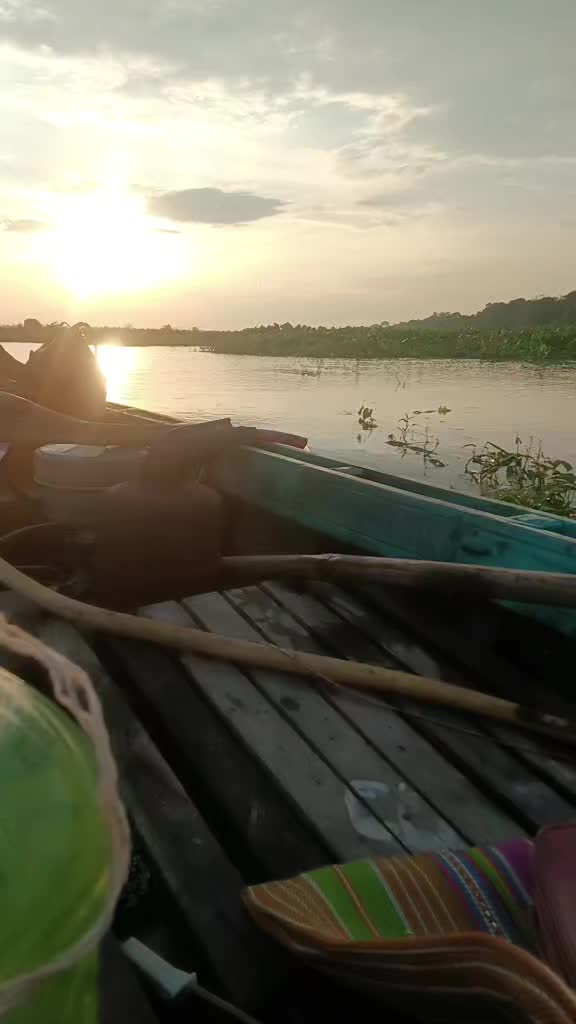 @papiya sarkar
