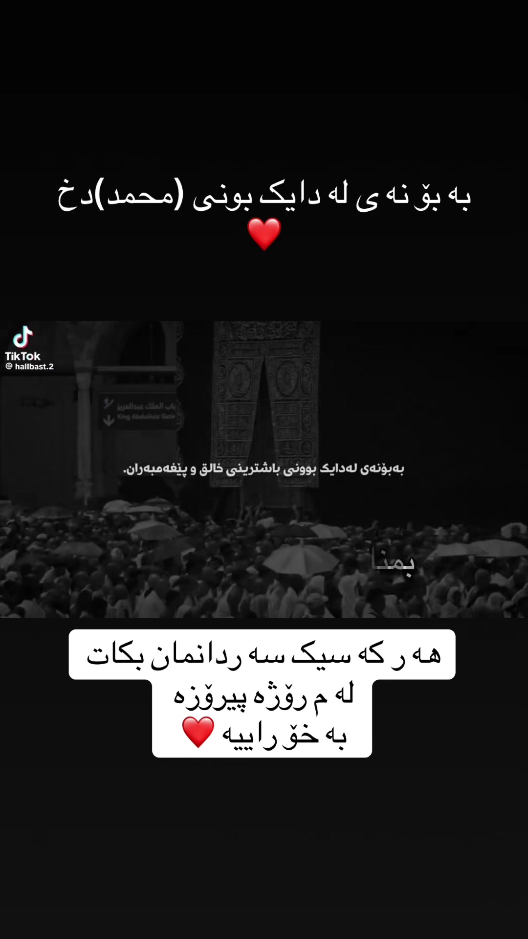 @🌼AZAD - Halaq