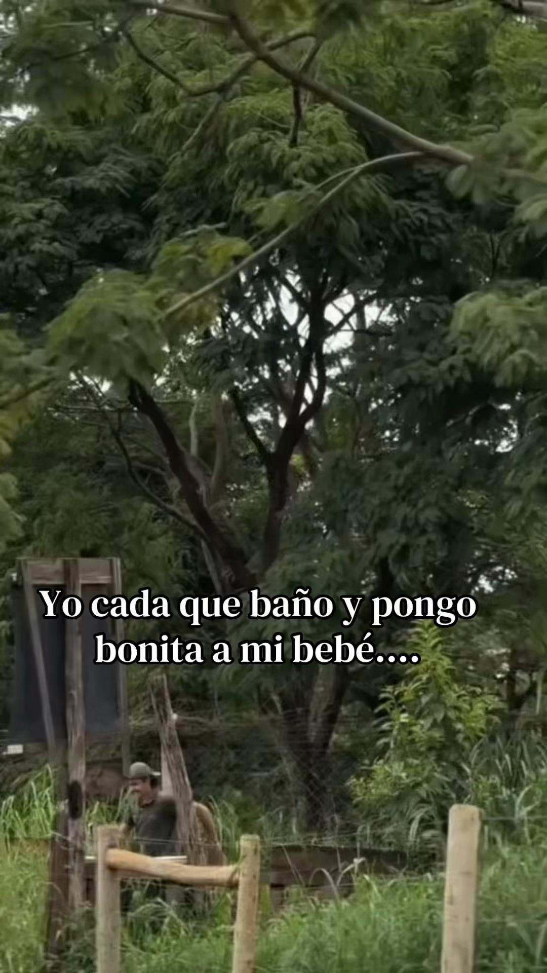 @Jenn🦋