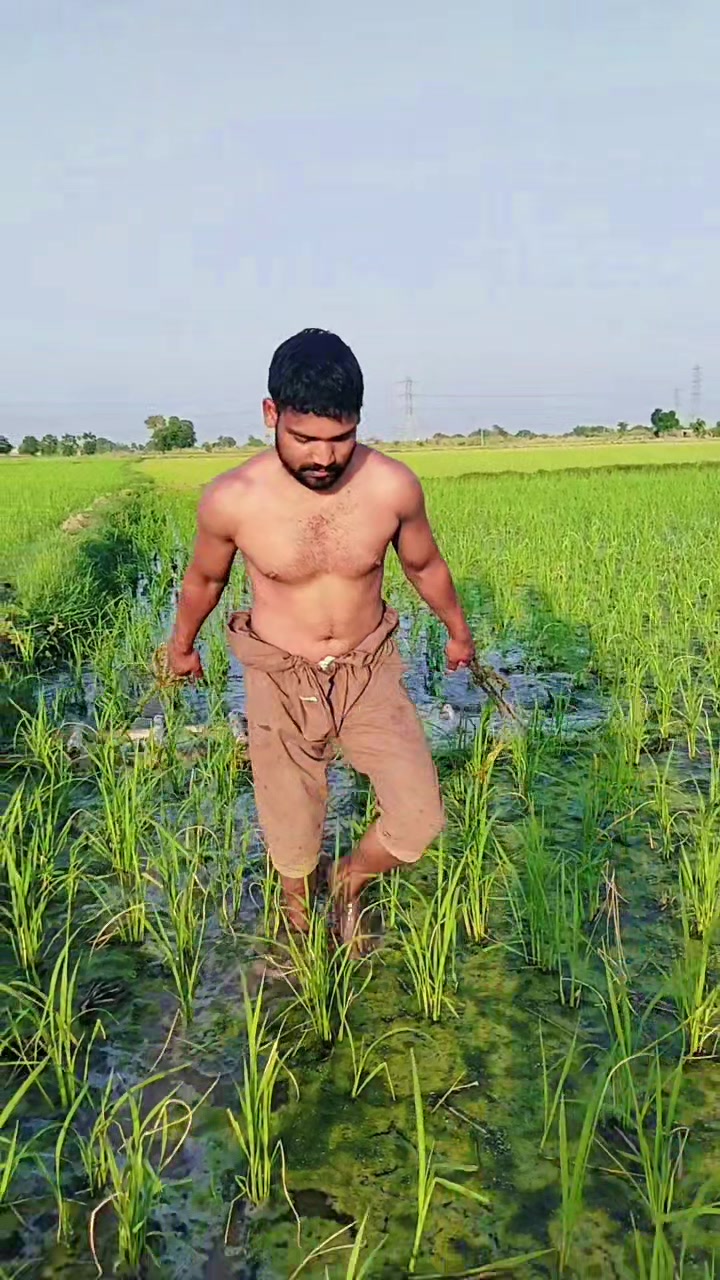 @Mr Chandu Bhai 🦅🤞🦁