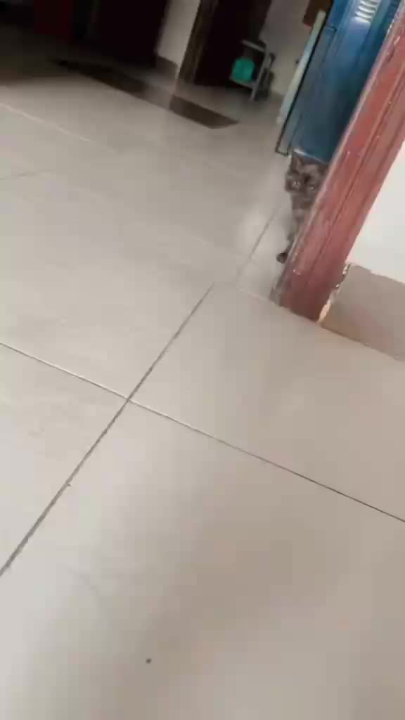 @Rukh