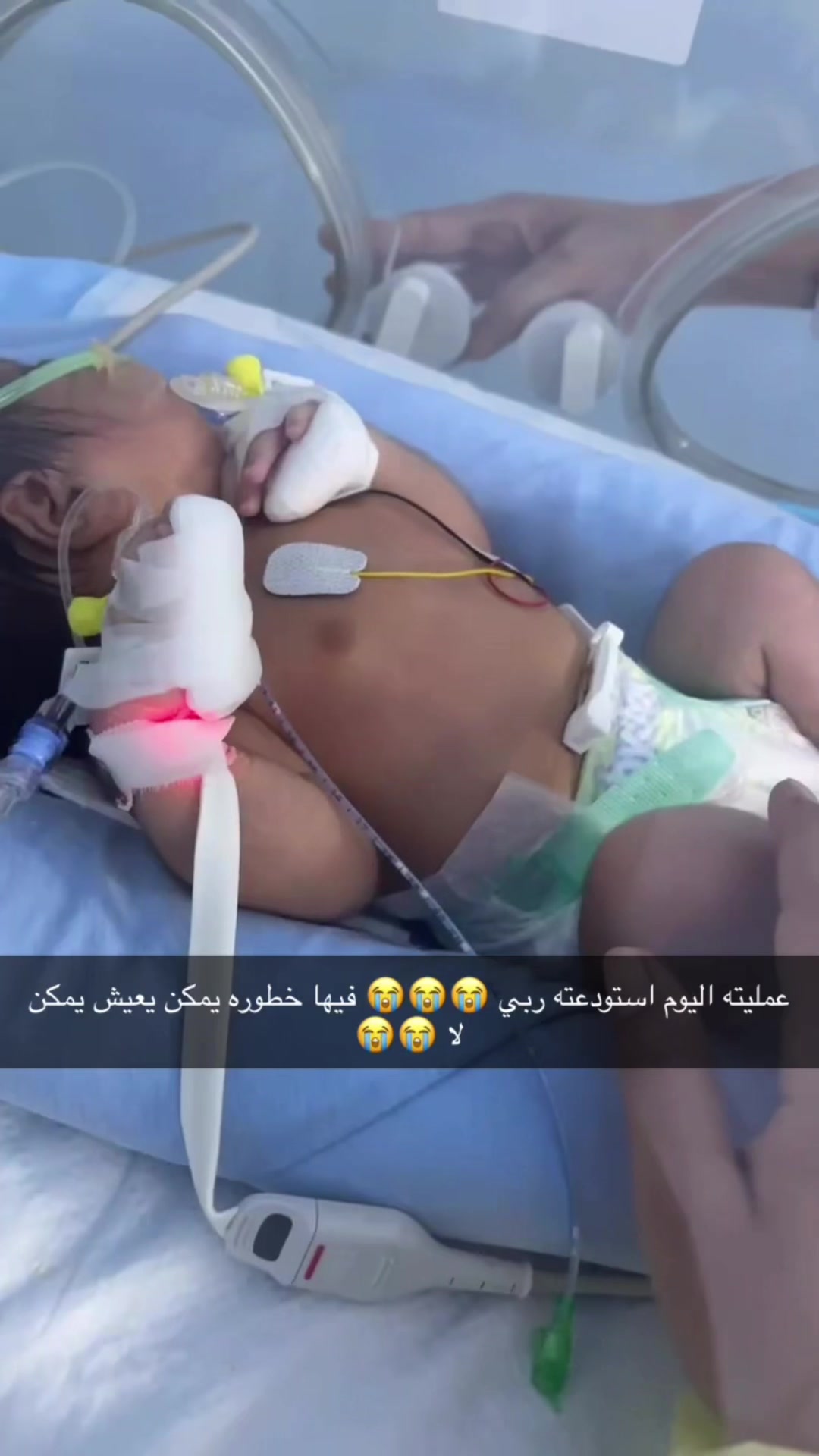 @منيره الشامري العجمي
