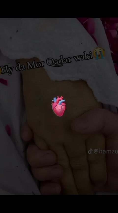 @Khalid Afridi 🌹🥀