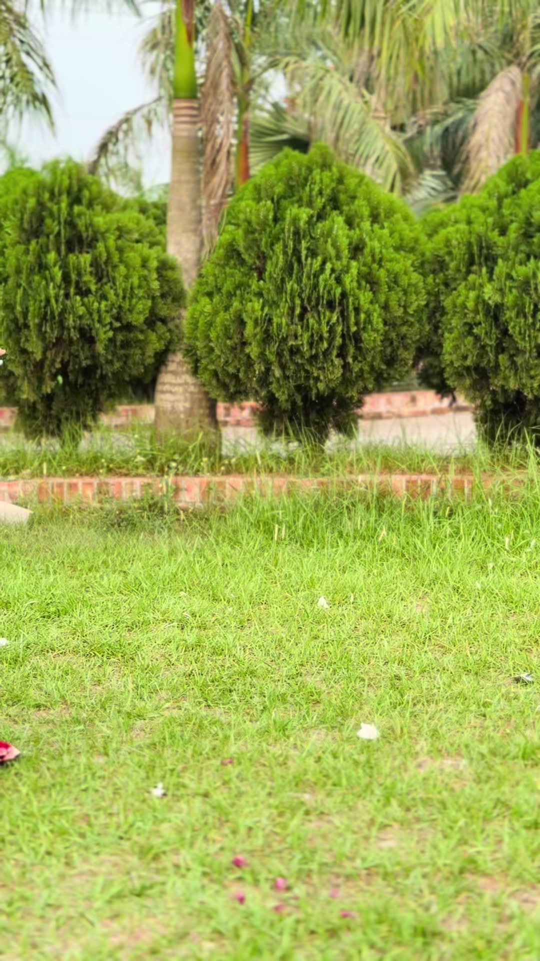 @𝐏𝐨𝐫𝐢(ভাগ্যবতী)