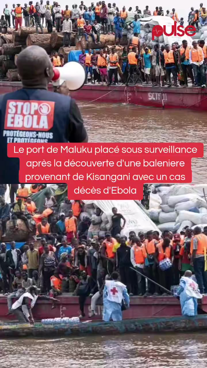 @Pulse Congo