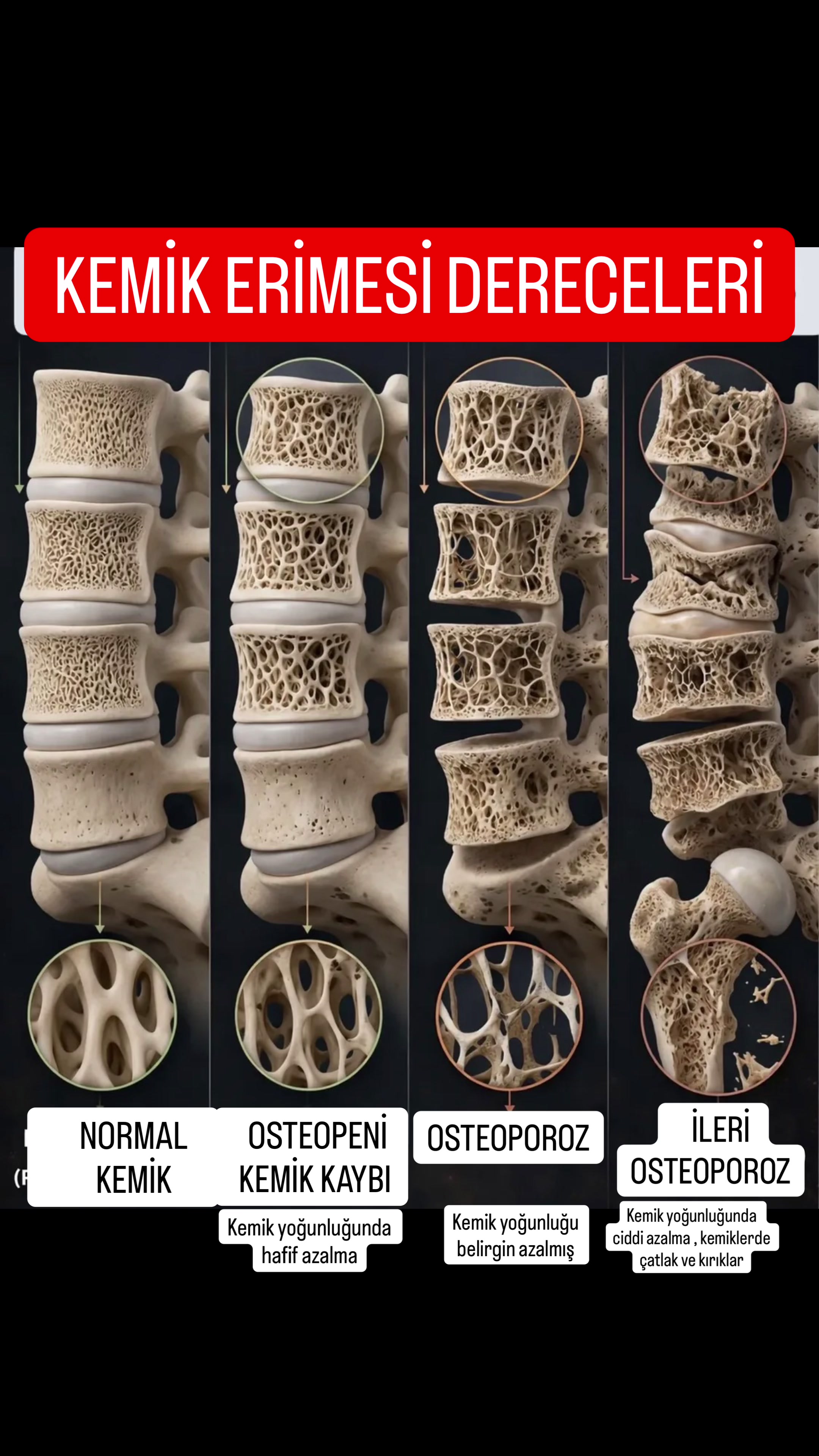 @Dr. Beşir Şahin İnceer