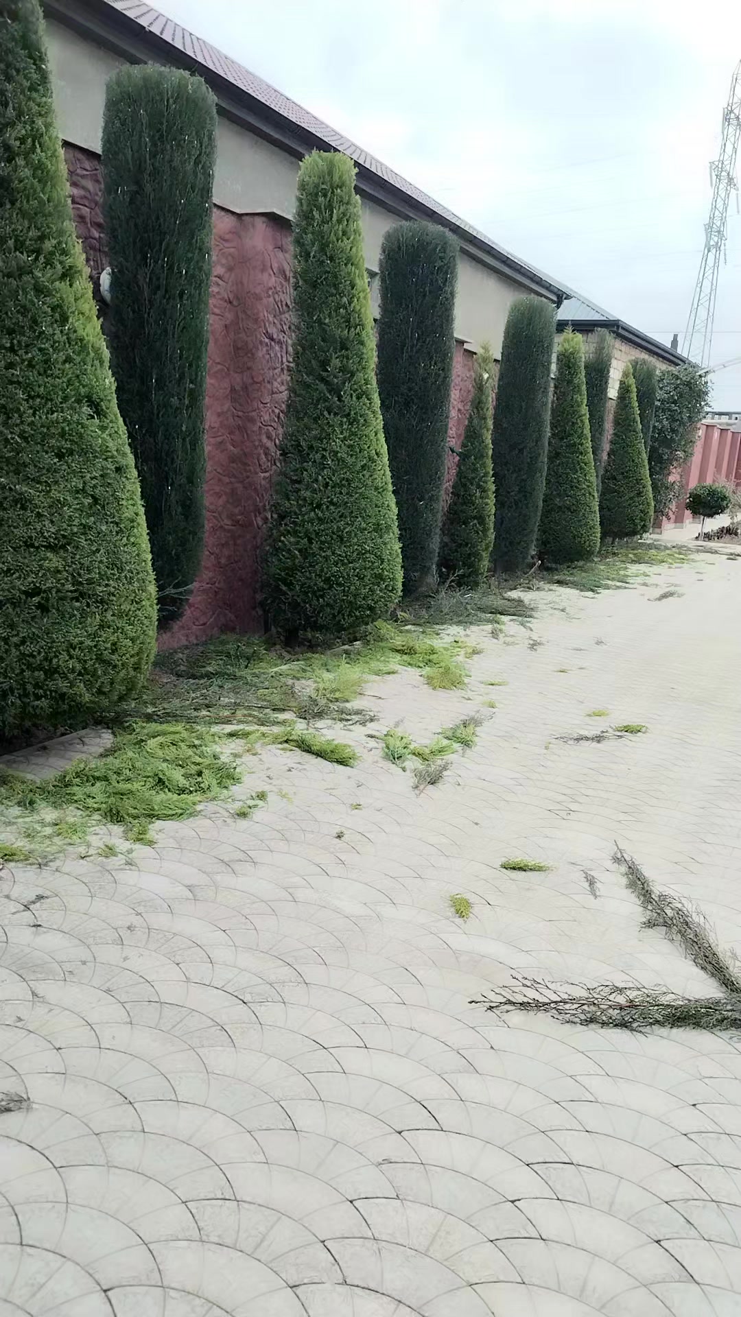 @Bağban