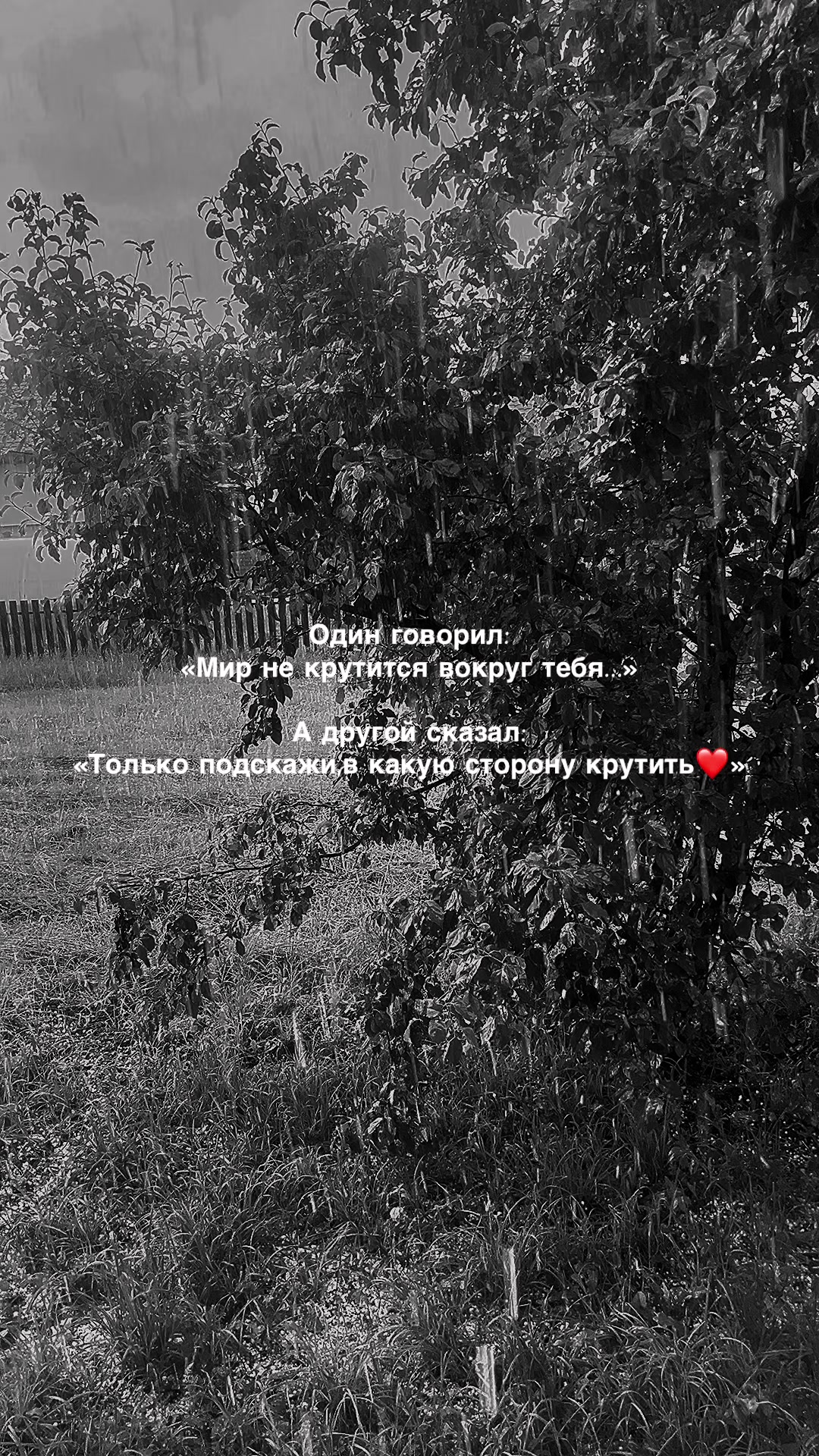 @Anastasiya