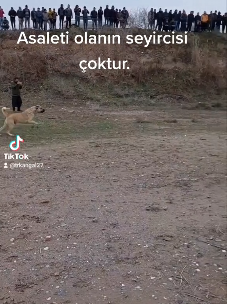 @Erkan &ccedil;iftci