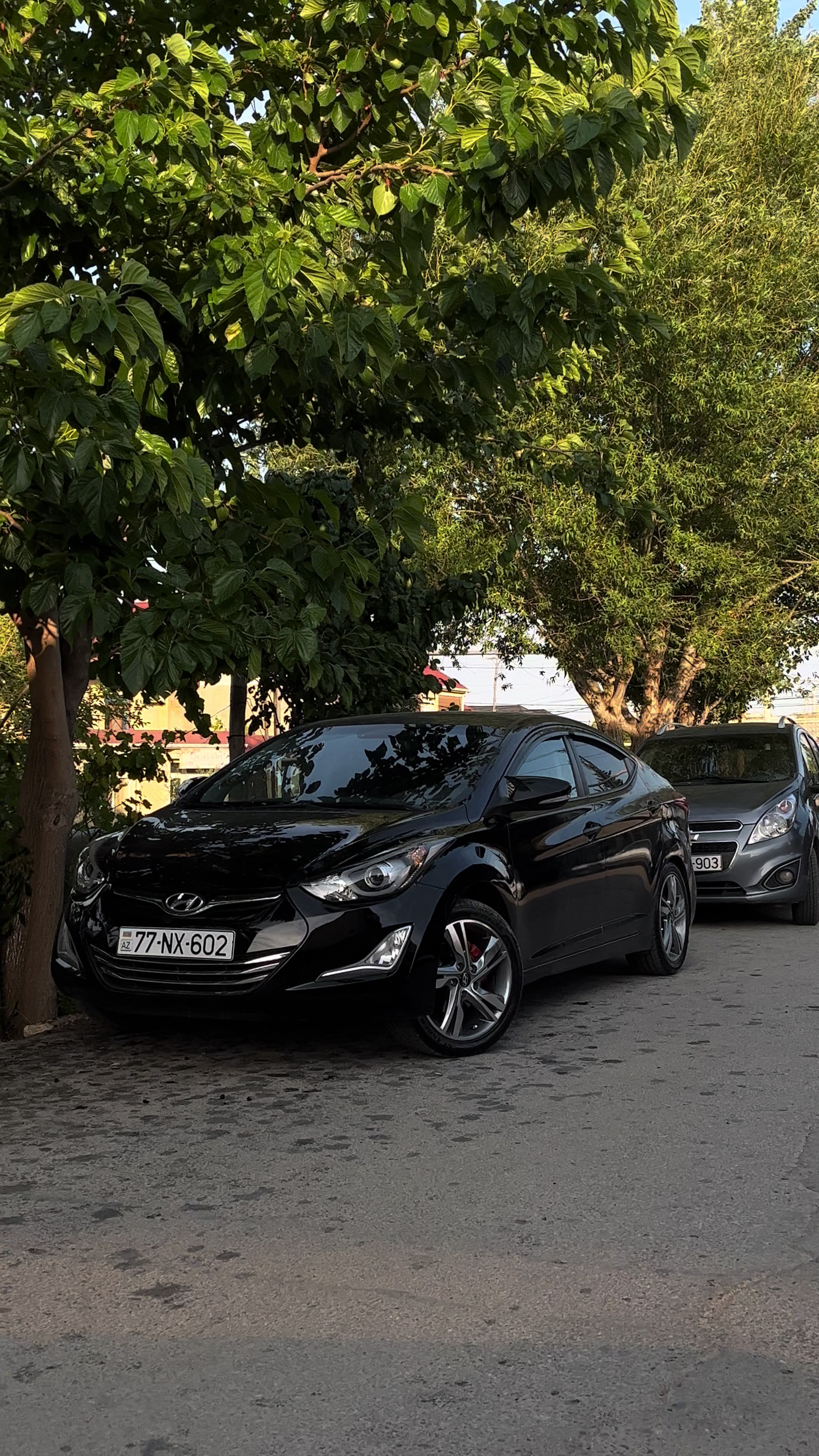 @berber_ rasim