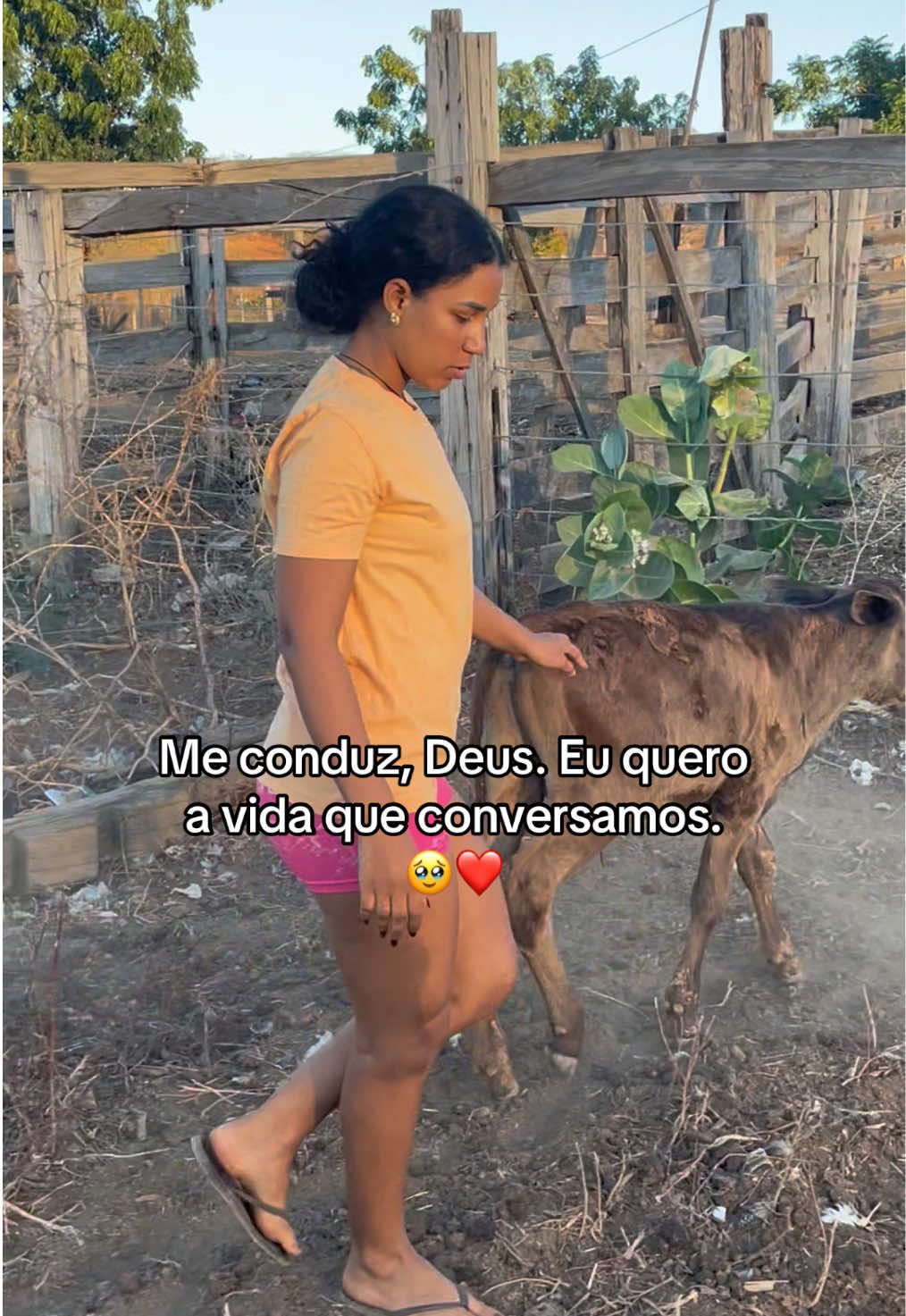 @monicadejatoba