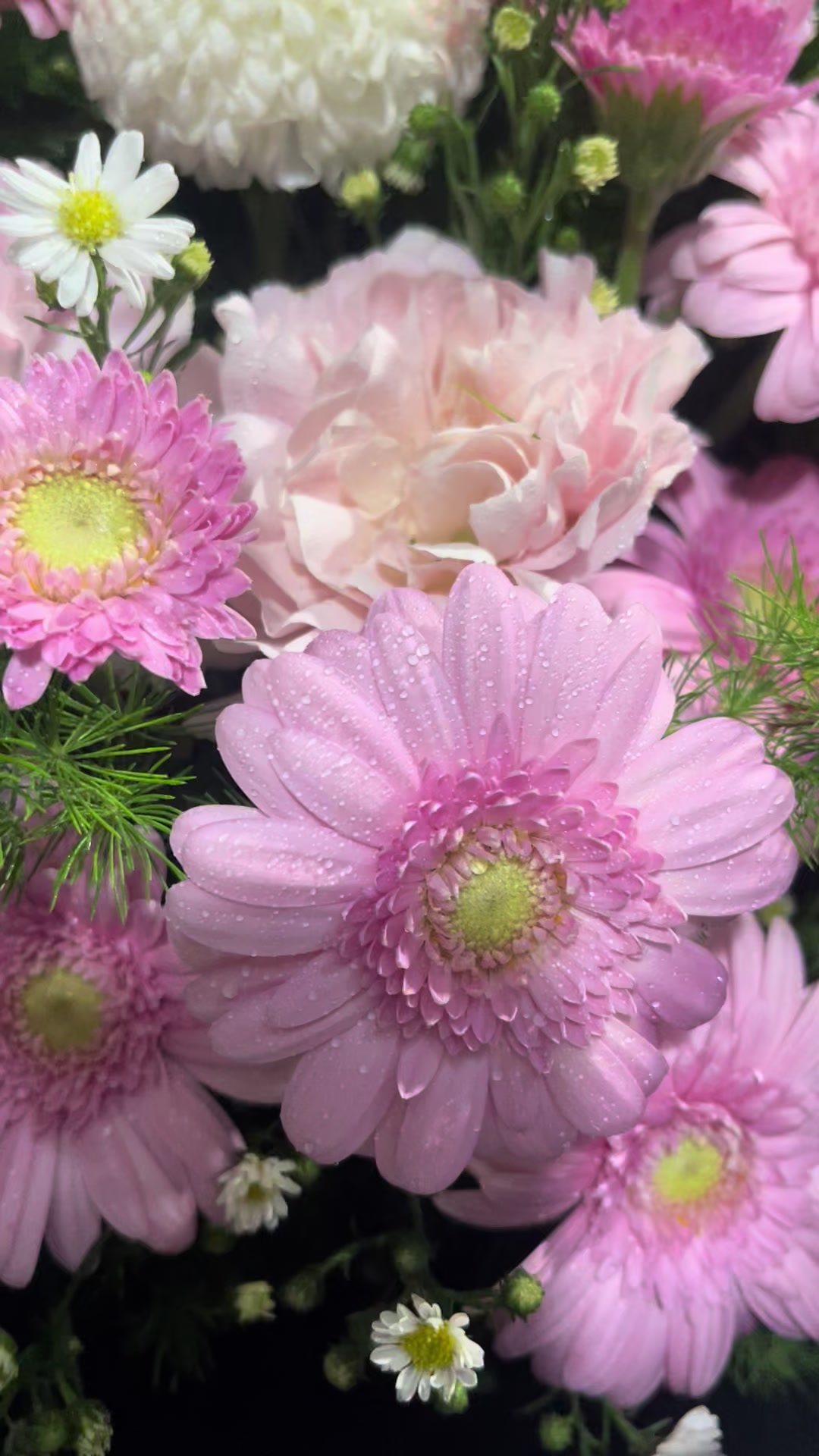 @My My