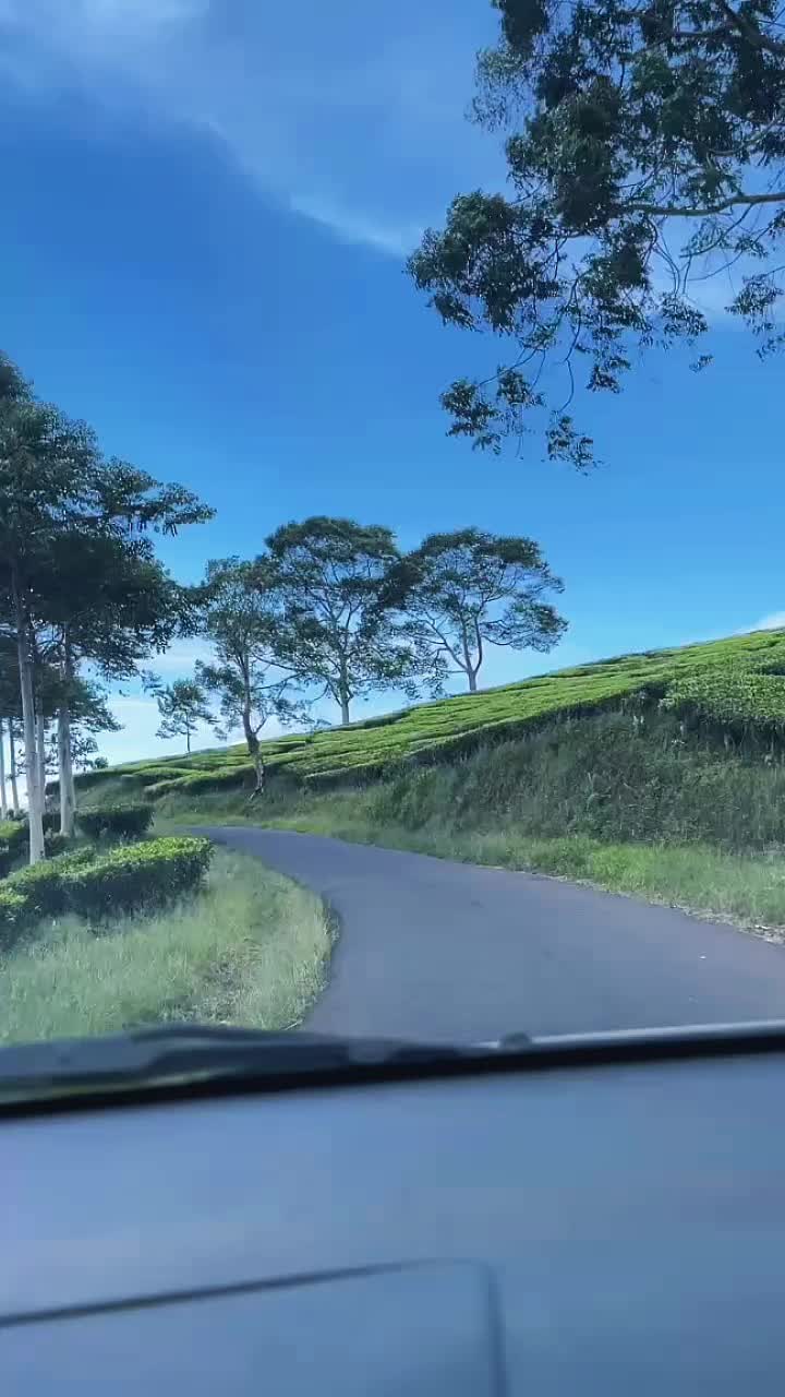 @𝒍𝒊𝒏𝒐𝒕_