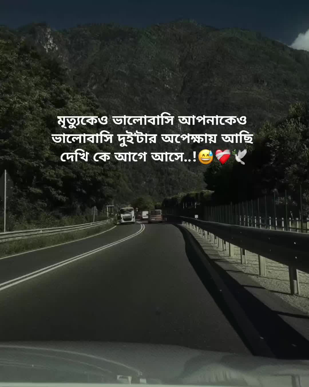 @🌷পিচ্চি–কবি🌷